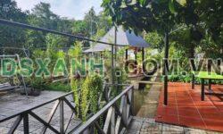Bán Đất Tặng Biệt Thự TP. Thủ Dầu Một, DT 1650m² (TC 300m²)