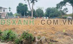 Bán đất 93m2 Xã Thanh Đình, TP. Việt Trì, Phú Thọ chỉ nhỉnh 800tr