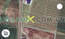 Bán đất 10.965m2, Thị trấn Đất Đỏ, Huyện Đất Đỏ, BR-VT. 1.4 tỷ/sào