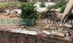 Bán đất 78m2 Mai Đình, Sóc Sơn, nhỉnh 2 tỷ – Ô tô ngủ trong đất