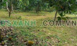 Bán đất 1000m2 Phường Bảo Vinh, TP Long Khánh, giá hơn 1 tỷ