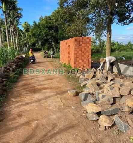 Bán Đất Lớn 1485m² Xã An Thới, H. Bình Chánh, Giá 3.5 Tỷ