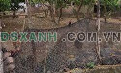 Bán đất 63.9m2 Cụm 7 Liên Minh, Đan Phượng, Hà Nội. Ô tô tận đất