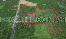 Bán 1.6ha Đất Mặt Tiền Lộc Nga, 2800m2 Thổ Cư, Giá 20 Tỷ