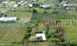 Bán 2.000m² Đất Vườn Xã Hàm Hiệp, H.Hàm Thuận Bắc chỉ 1.999 tỷ