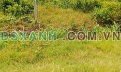 Bán đất Xã Bàu Năng, 5x29m, full thổ cư, sổ sẵn, giá 3xx triệu