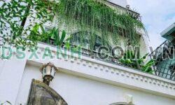 Bán Homestay 3PN Quận 1, DT 30tr/tháng, Giá Chỉ 6 Tỷ