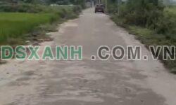 Bán Đất Giãn Dân Xã Phù Lãng, H. Quế Võ 125m2, Giá >3 Tỷ
