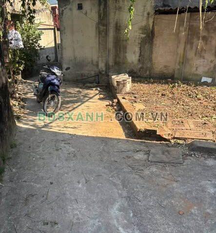 Bán Đất 56.3m² Xã Đại Áng, H.Thanh Trì – Vị trí đẹp, Sổ đỏ