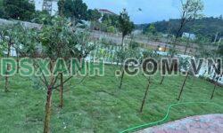 Bán Nhà Vườn 385m² Lương Sơn, Phú Thọ – Giá Tốt, Vị Trí Đẹp
