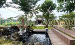 Bán Nhà Vườn 3000m2 Mặt Tiền Chơn Thành, Giá 350 Triệu, Sổ Hồng