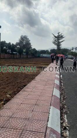 Bán Đất Phường Xuân Khanh, TX Sơn Tây, Giá từ 1.9 Tỷ – Tiềm Năng Vượt Trội