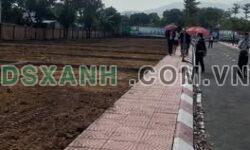 Bán Đất Phường Xuân Khanh, TX Sơn Tây, Giá từ 1.9 Tỷ – Tiềm Năng Vượt Trội
