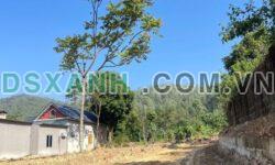 Bán Đất Tam Đảo 400-500tr, Lộ Thông, Giá Tốt