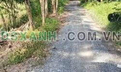 Bán 2 Nền Thổ Cư Cao Thị Mai, 260m2/nền, Huyện Tân Trụ – 1.45 tỷ