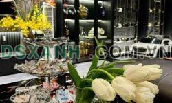 Bán Nhà Phường Kim Giang, Quận Thanh Xuân 40m² – 7 Tầng TM