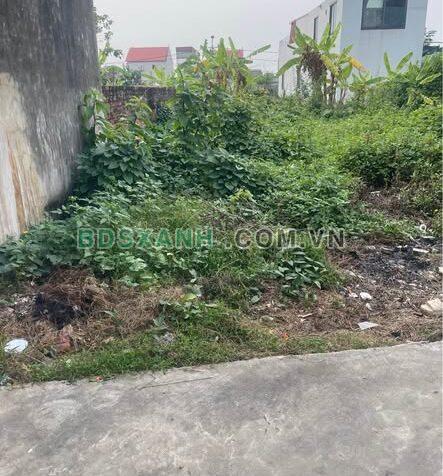 Bán đất 62m2 Tổ 9, TT Quang Minh, Huyện Mê Linh – Giá chỉ 1.9 tỷ