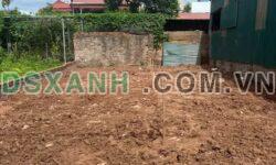 Bán 125m² Đất Xã Liên Hồng, Huyện Đan Phượng 2MT Giá F0