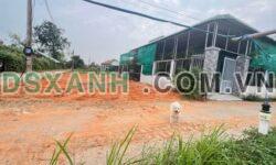 Bán 130m² lô góc Xã Hàm Chính, Huyện Hàm Thuận Bắc 650 triệu