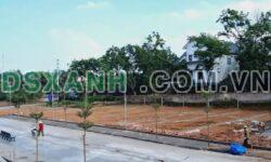 Bán đất Tam Dương Bắc (Quan Nội), Huyện Tam Dương 104m²