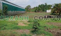 Bán Đất MT Bê Tông Nhơn Hoà 1, Đức Hoà, 5x73m, 1.4 Tỷ