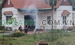 Bán nhà cấp 4 Xã Tam Dương 147.9m² 1 tỷ 0XX Huyện Tam Dương
