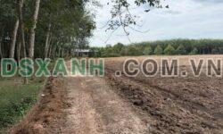 Bán 10.300m2 Đất Xã Cây Trường II, H.Bàu Bàng, 600m2 thổ cư, giá tốt