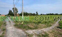 Bán Đất 5x30m Lê Văn Bèo, X.Tân Bình, H.Tân Trụ chỉ 490 Triệu