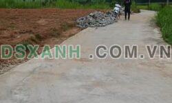 Bán đất Hiệp Hòa 111m2 nở hậu, full thổ cư, giá 6xx nhỏ