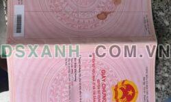 Bán đất 65m2 Phú Cát, Quốc Oai chỉ 1.65 tỷ, ô tô đỗ cửa