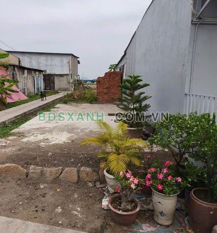 Bán Đất 5x23m Xã Bình Khánh, Huyện Cần Giờ 950 Triệu.