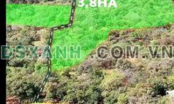 Bán 3.8ha đất, Xã Tân Phước, Huyện Đồng Phú, Bình Phước – 6.27 tỷ