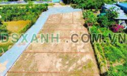 Bán đất Thôn An Định, Xã Diên Thọ, Huyện Diên Khánh 64.2m2 550tr