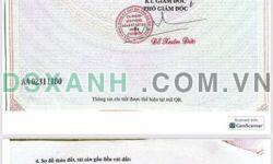 Bán Đất KDC X. Bình Giã, H. Châu Đức 175m2 giá 680tr