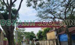 Bán 2 Lô Đất 69m² P. Ngọc Xuyên, Q. Đồ Sơn 1.5 Tỷ