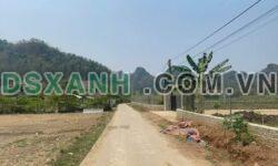 Bán 3000m² Đất vườn Co Pục, Chiềng Ngần, TP Sơn La, giá từ 9xx triệu