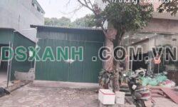 Bán đất 81m² Phường Minh Phương, TP Việt Trì giá 3.7 tỷ