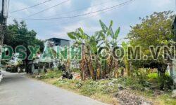 Bán đất Kp3, P.Trảng Dài, TP.Biên Hoà 130m2 chỉ 3tỷ250