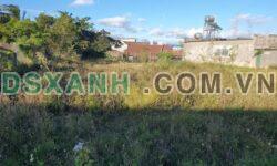 Bán đất Xã Phú Hội, Nhơn Trạch 239m² cạnh KCN, 850 Triệu