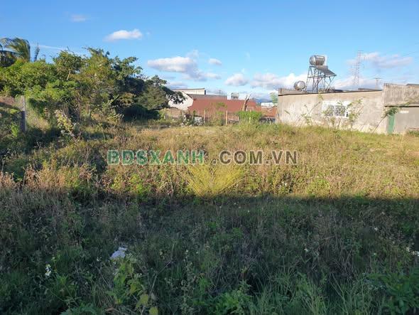 Bán đất Xã Phú Hội, Nhơn Trạch 239m² cạnh KCN, 850 Triệu