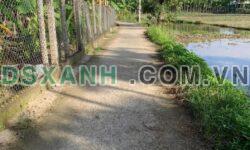 Bán 1000m2 đất Phú Văn, Xã Nghĩa Trung, Tư Nghĩa, Quảng Ngãi 3xxtr