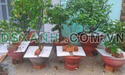 Cho thuê phòng 30m2 Hẻm 44A Bời Lời, Phường Bình Minh, TP. Tây Ninh – TL
