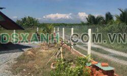 Bán đất Xã Trường Đông, Thành phố Hòa Thành, 100m2, Full TC, 230tr