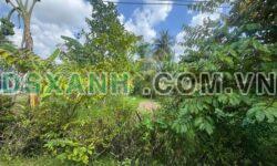 Bán đất Khóm Chánh, Lý Văn Lâm, TP Cà Mau, 3800m2, 2.x Tỷ