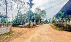 Bán 2 Lô Đất Xóm Đon, Xã Mỹ Hoà, Huyện Tân Lạc ~500m²