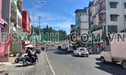 Bán 135m² đất Nguyễn Công Trứ, Phường 2, Thành phố Đà Lạt 8 tỷ
