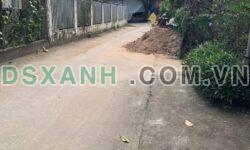 Bán Đất Xã Nghĩa Trung, Tư Nghĩa, Quảng Ngãi 1500m2+ Giá 1xx triệu