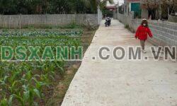 Bán Đất 109.2m2 Huyện Tiên Lữ, Xã Thụy Lôi – Vài Trăm Triệu