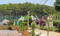 Bán Đất View Đẹp Xã Mê Linh, Huyện Lâm Hà, 300m2, 920 Triệu.