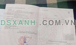 Bán đất 115m2 K. Vĩnh Tân, P. Mạo Khê, TX Đông Triều 1.5xx tỷ